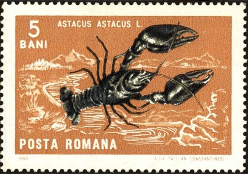 Romania #1879 (1966) -  Noble Crayfish (Astacus astacus)